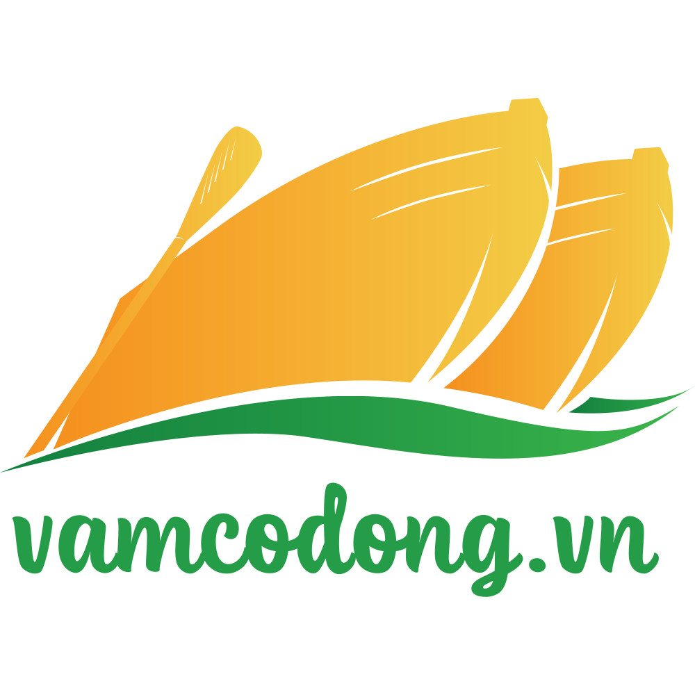 Logo Vamcodong full